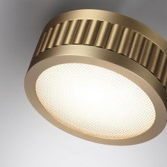 Накладной светильник Odeon Light Manchester 7013/7CL | фото 5